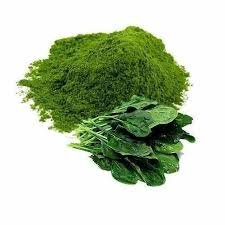 Palak Powder